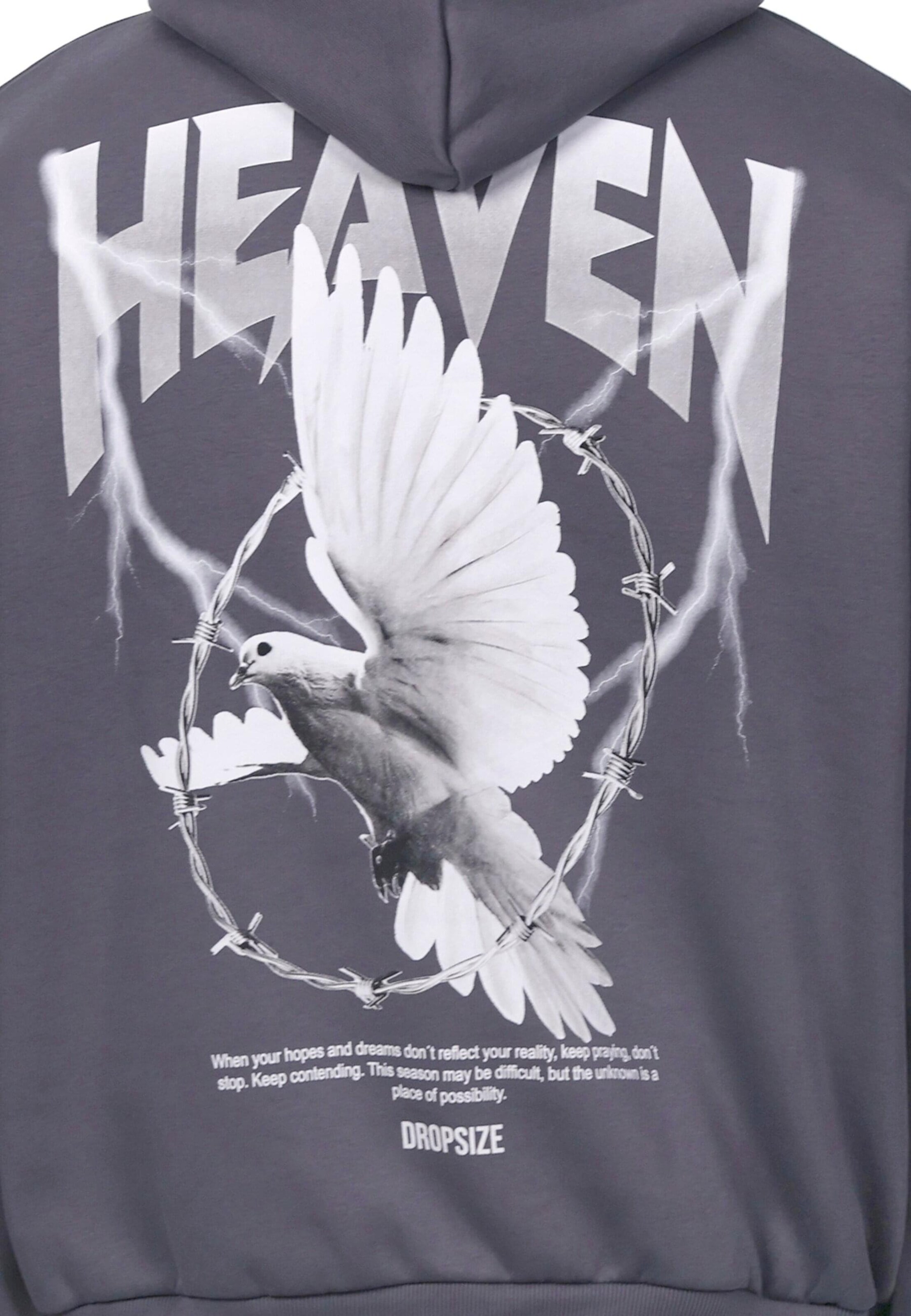 Dropsize Sweatshirt 'Wire Dove' in Grey