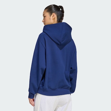 zils ADIDAS SPORTSWEAR Sportiska tipa džemperis