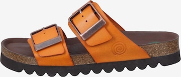 DR. BRINKMANN Mules 'Bonillo' in Orange: front