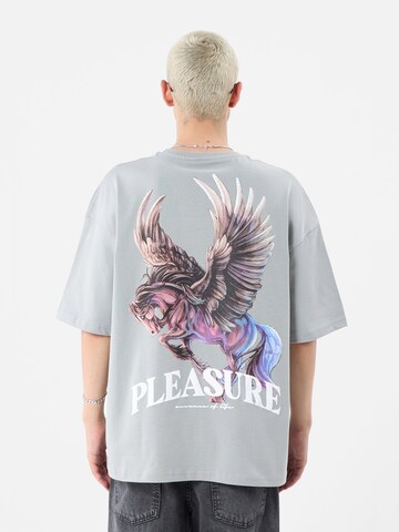 T-Shirt 'Diascia' VAMOS CLO en gris