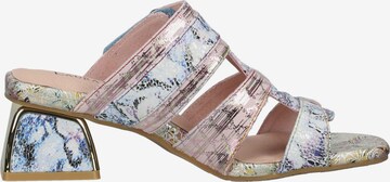 Laura Vita Mules in Mixed colors