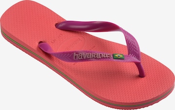 HAVAIANAS Japonki 'Brasil' w kolorze różowy: przód