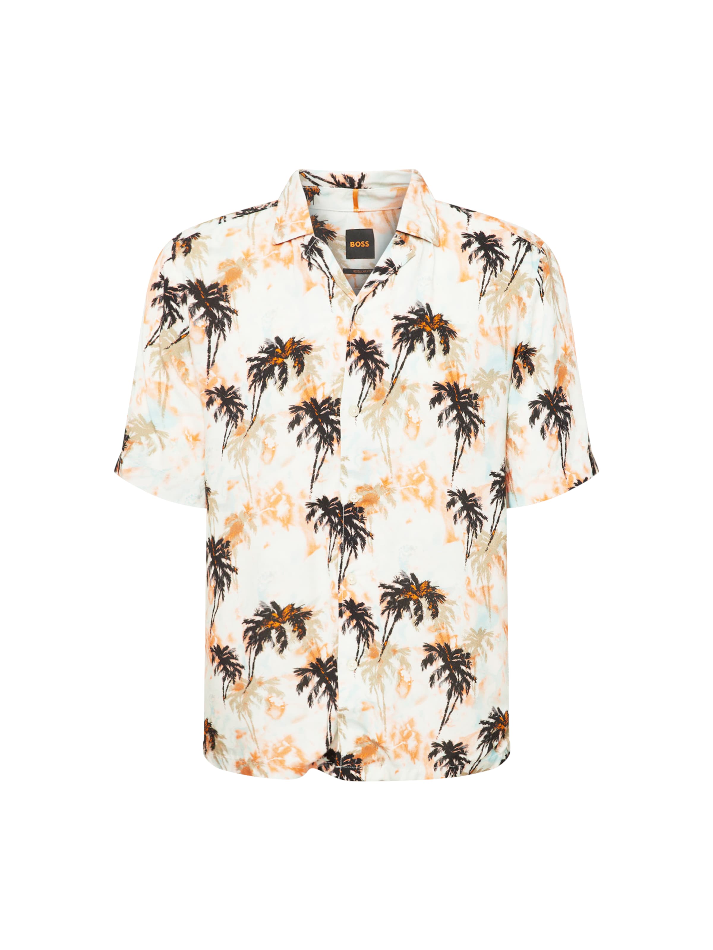 BOSS Regular fit Button Up Shirt 'Rayer' in Mixed colours: front