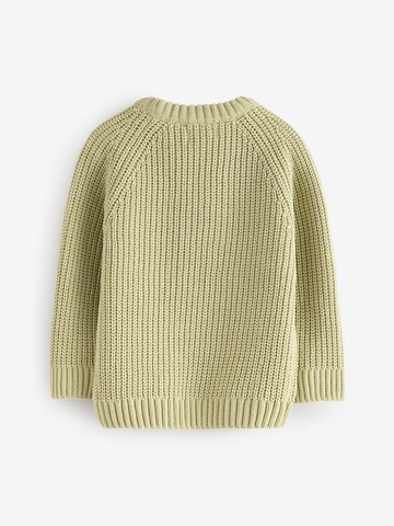 Next Trui in Groen