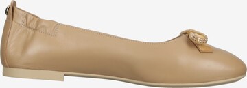 Nero Giardini Ballet Flats in Brown