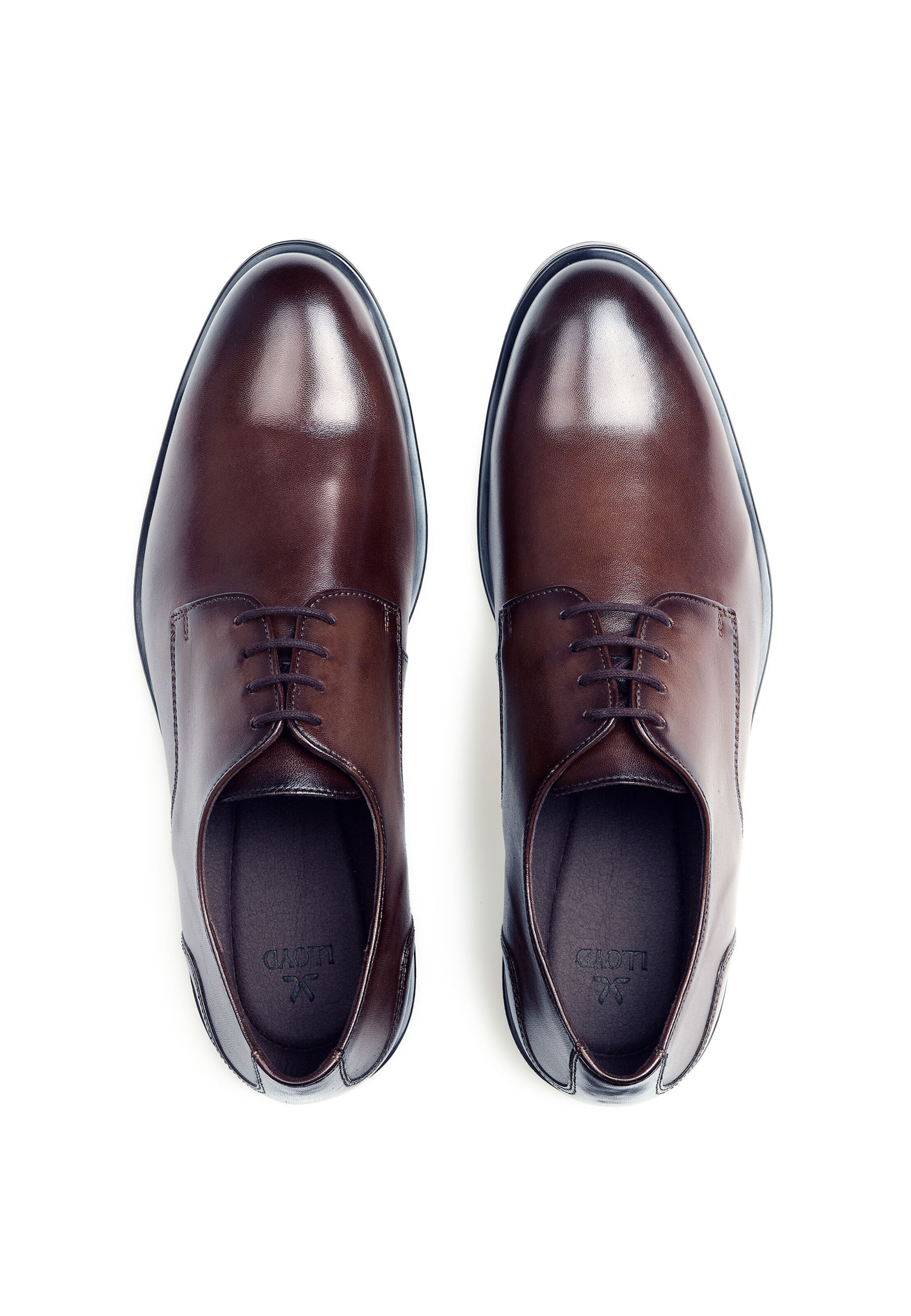 LLOYD Lace-Up Shoes in Brown
