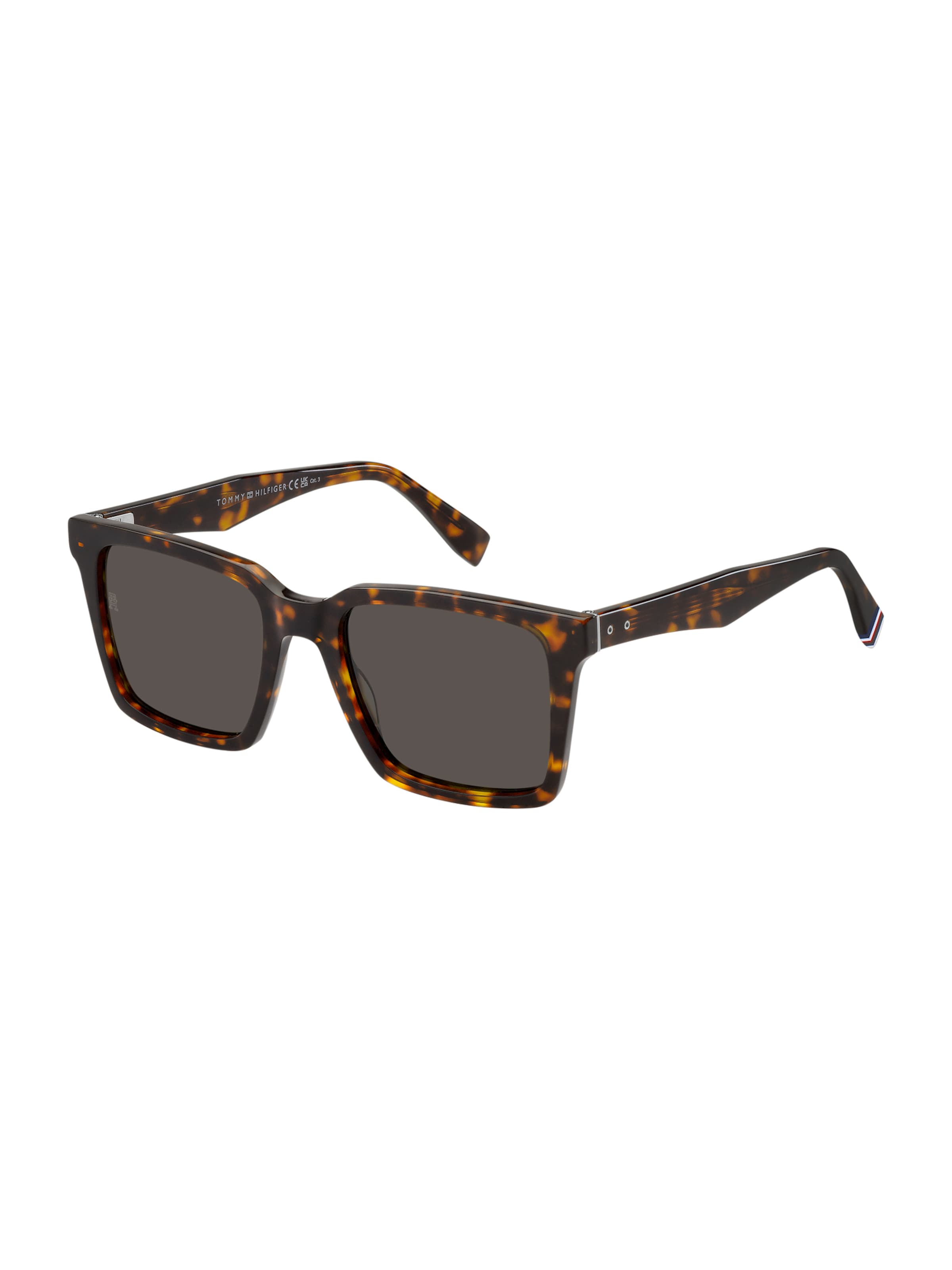 TOMMY HILFIGER Sunglasses '2067/S' in Brown: front