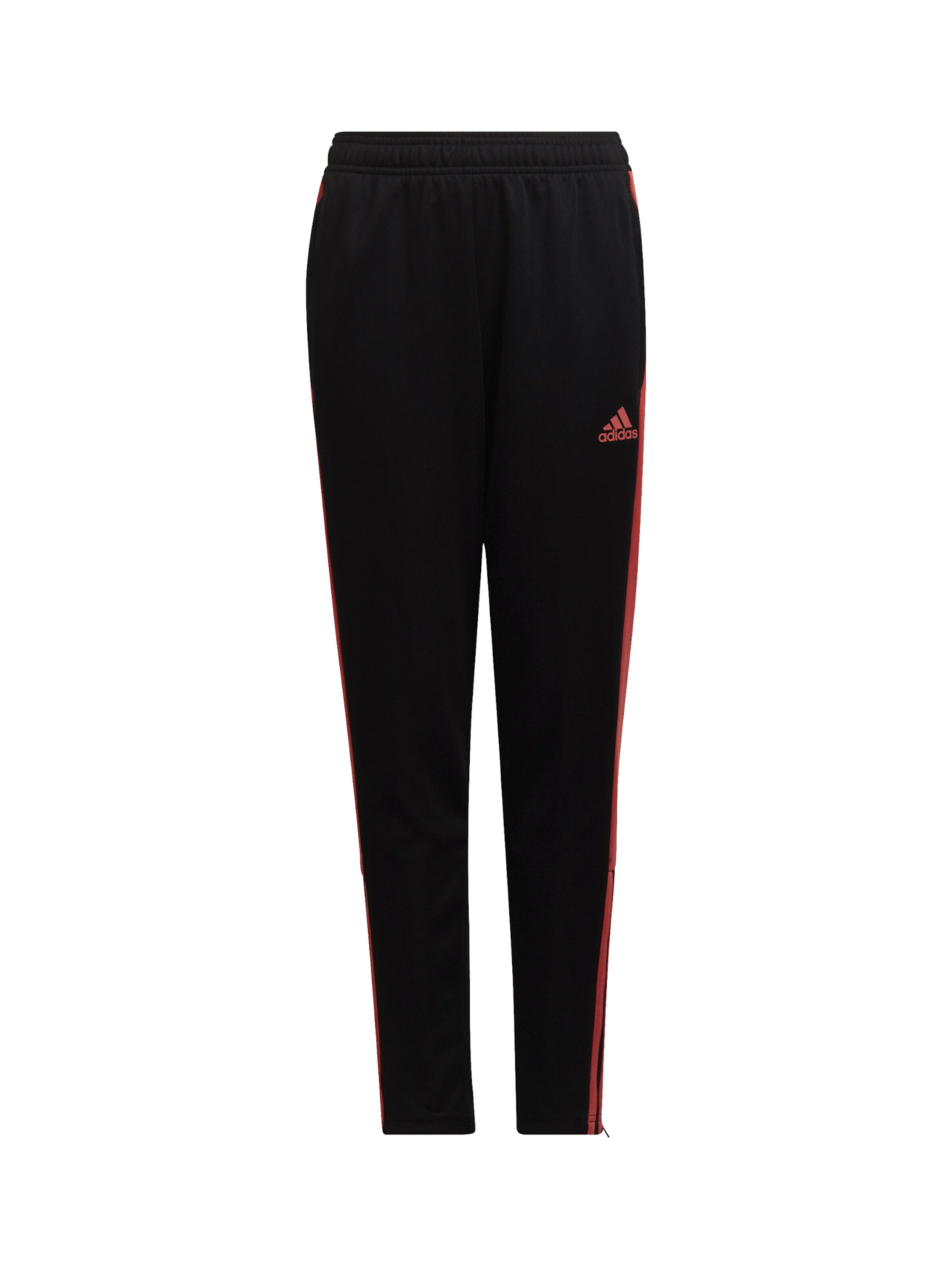 ADIDAS PERFORMANCE Tapered Hose in Schwarz: Vorderseite