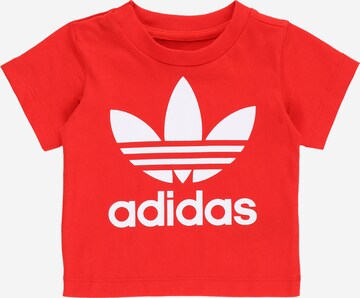 ADIDAS ORIGINALS Majica | rdeča barva: sprednja stran