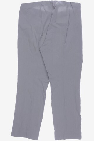 STEHMANN Pants in 4XL in Grey