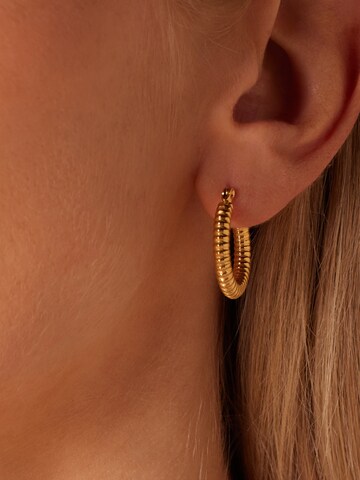 Boucles d'oreilles Lucardi en or : devant