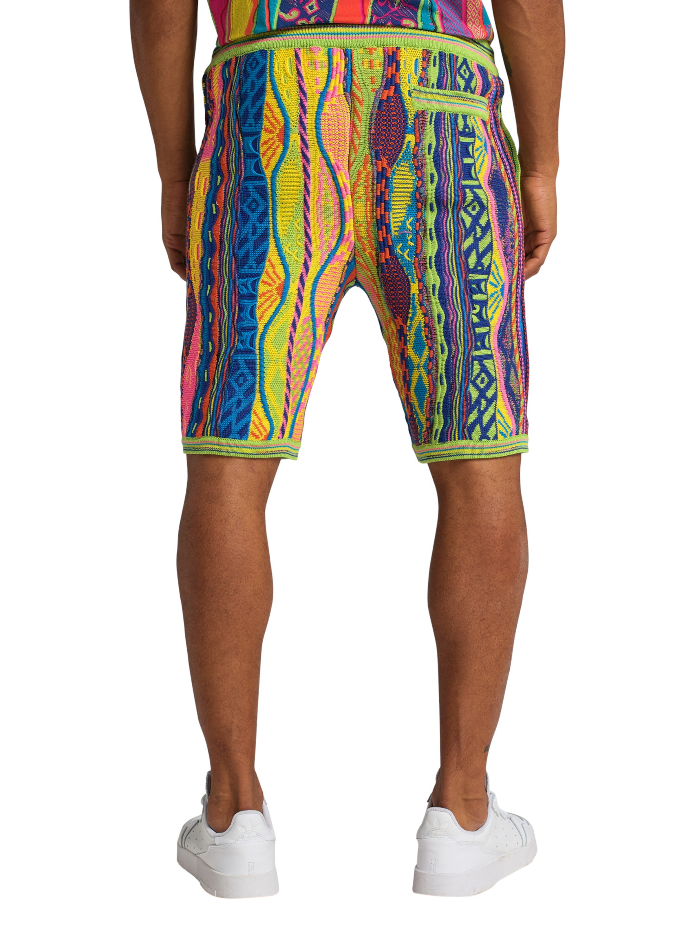 Carlo Colucci Regular Pants 'Cucuzza' in Mixed colors