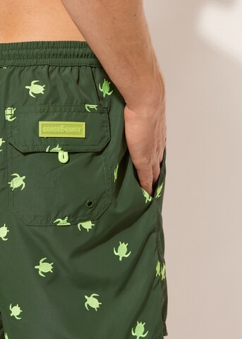 CALZEDONIA Regular Board Shorts in Green