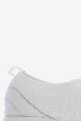 JOSEF SEIBEL Sneakers & Trainers in 42 in White