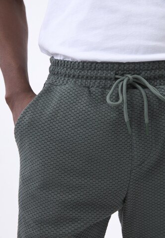 Felix Hardy Regular Broek in Groen