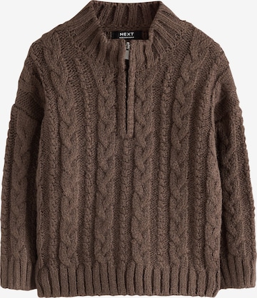 Pullover di Next in marrone: frontale