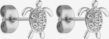 Boucles d'oreilles 'White Turtle' PURELEI en argent : devant