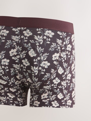 Next Boxeralsók - kék