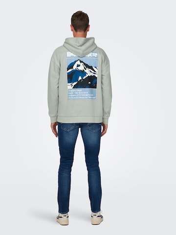 Only & Sons Sweatshirt 'Tylan' i grå