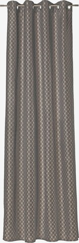 JOOP! Curtains & Drapes in Grey: front