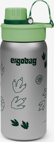 ergobag Trinkflasche 'Trinkflasche Edelstahl Trinkflasche' in Grün: Vorderseite