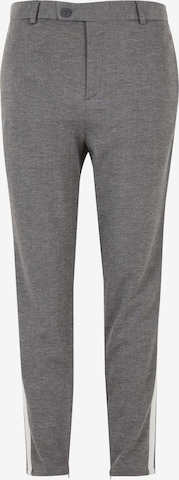 2Y Premium Regular Pants in Grey: front