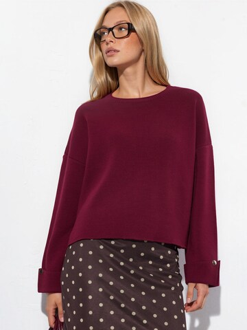 Hiccup Sweter w kolorze czerwony: przód