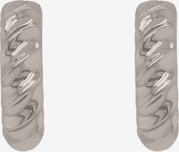 24Kae Earrings in Silver: front