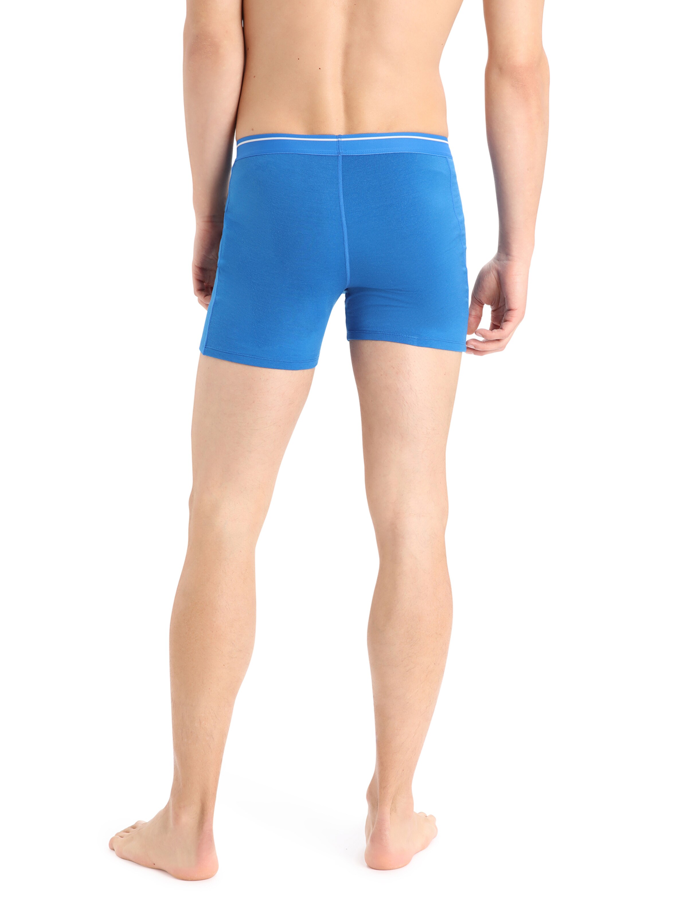 ICEBREAKER Athletic Underwear 'Anatomica' in Blue