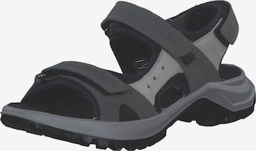 Sandales de randonnée 'Fagella' Palado en gris : devant