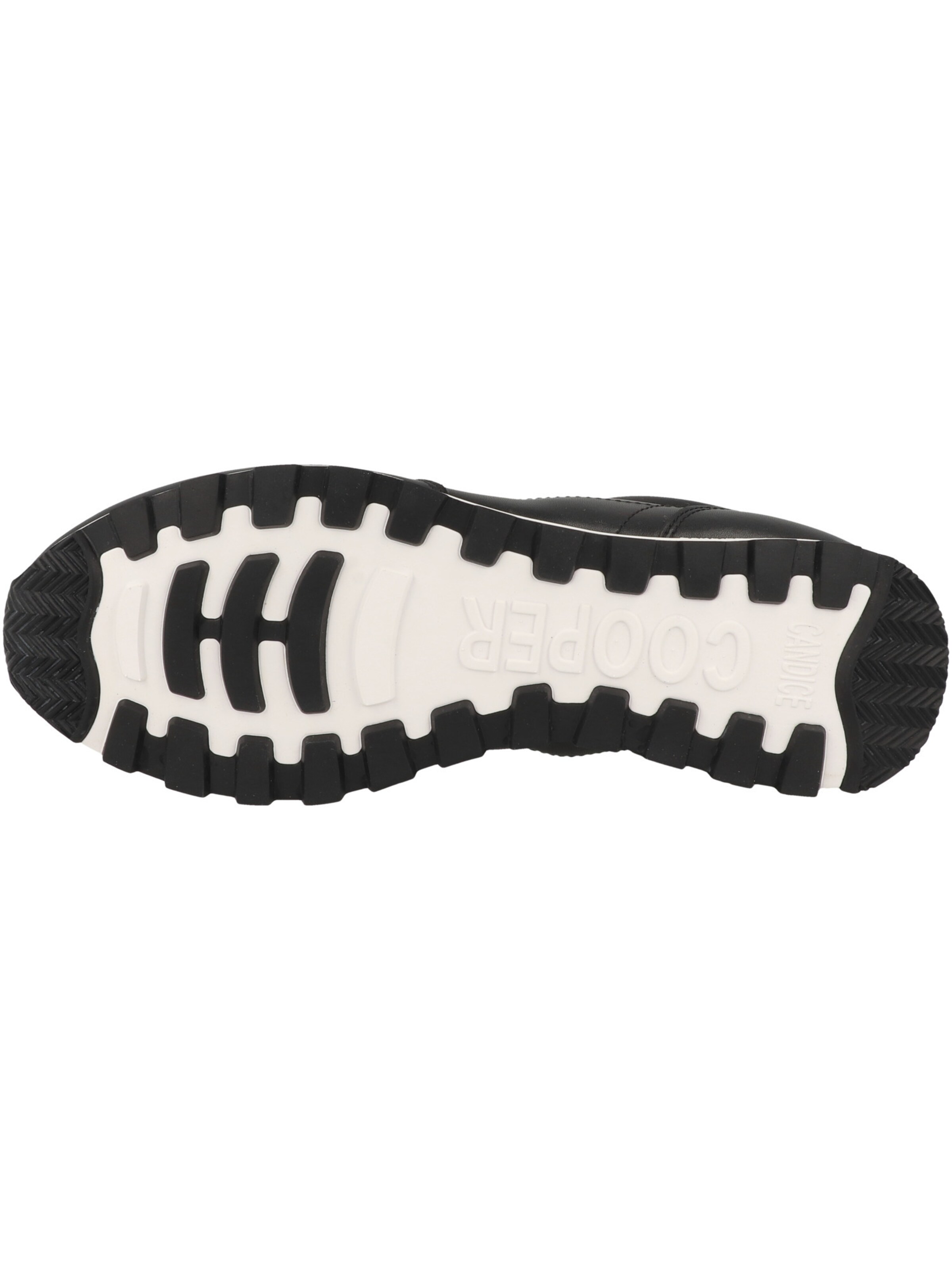 Candice Cooper Sneakers in Black