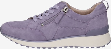 Chaussure de sport à lacets CAPRICE en violet