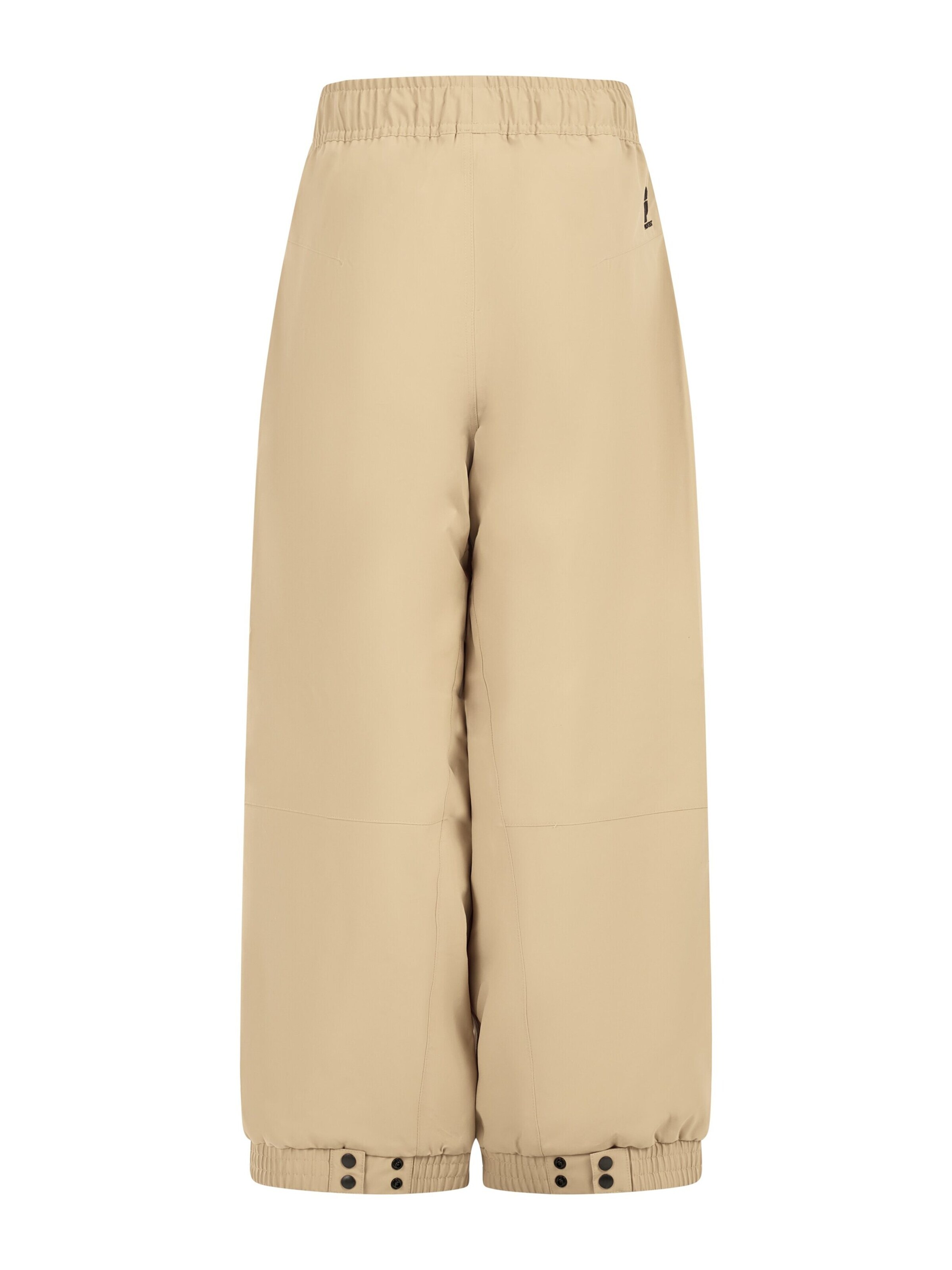 PROTEST Regular Workout Pants 'PRTKenny JR' in Brown
