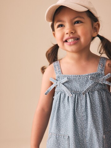 Next Overall in Blue