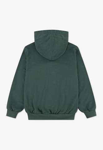 CONVERSE Sweatshirt 'DISSECTED CHUCK' in Groen