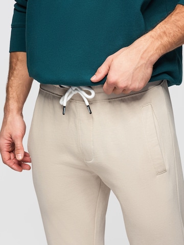 Ombre Regular Trousers 'OM-PABS-0304' in Grey