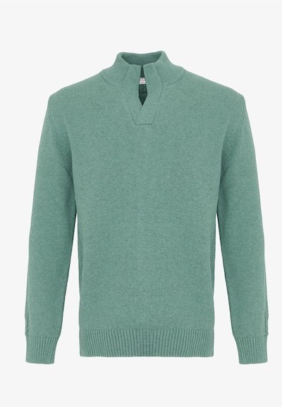 Felix Hardy Sweater in Green, Item view