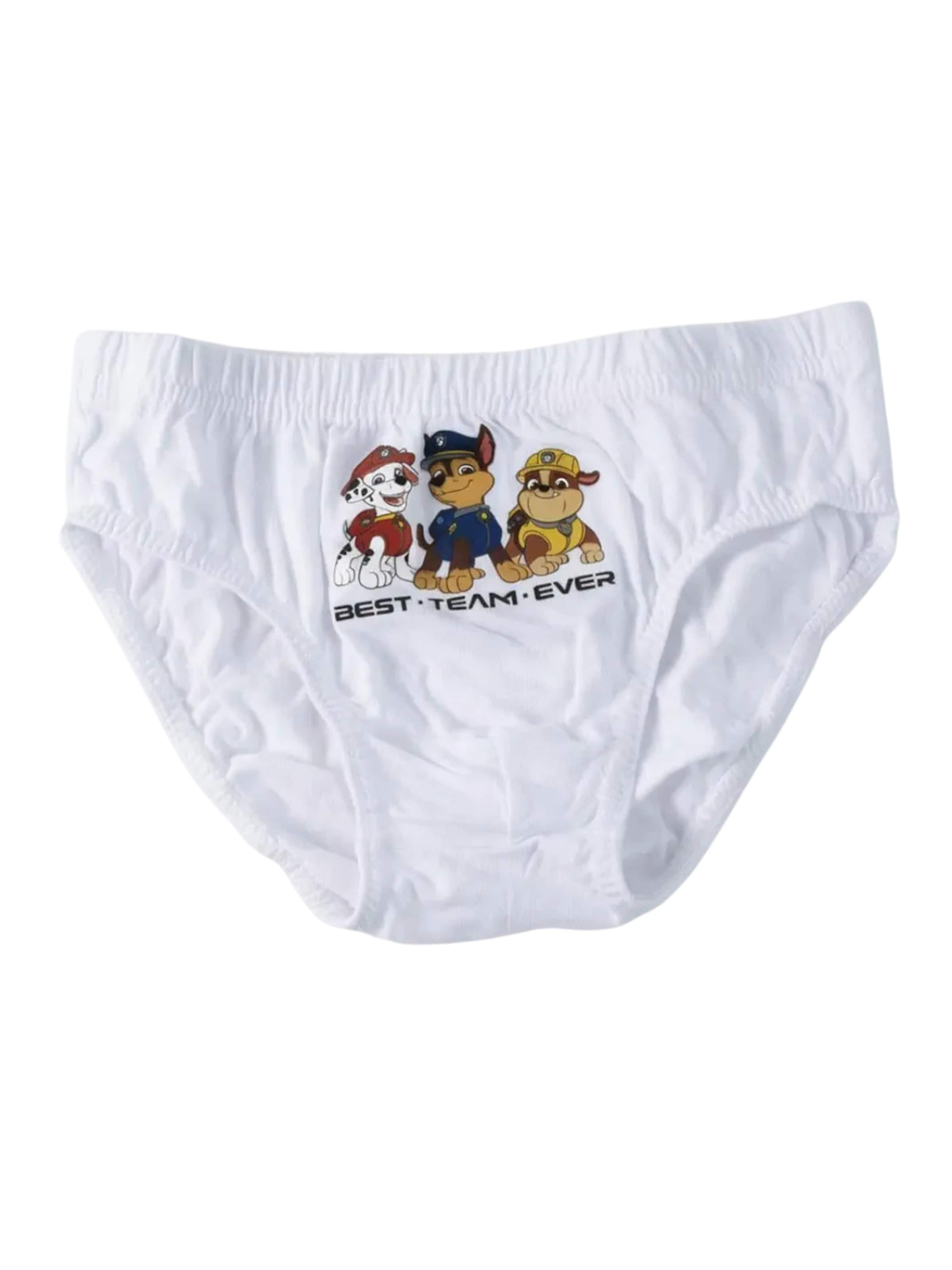 Cerdá Underpants in Mixed colours
