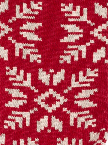 Chaussettes 'Cozy Andersens' DillySocks en mélange de couleurs