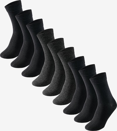 uncover by SCHIESSER Socks in Dark grey / Black, Item view