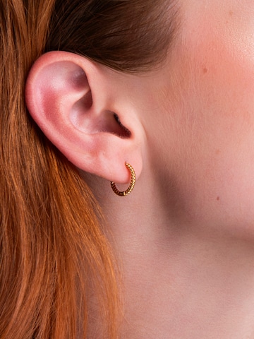 Amberz Oorbellen 'Noa' in Goud