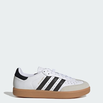Scarpa sportiva 'Velosamba' di ADIDAS PERFORMANCE in bianco