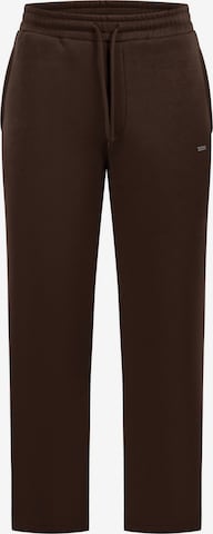 Smilodox Regular Pants in Brown: front
