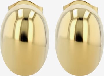 Akzent Earrings 'langlebig' in Gold: front