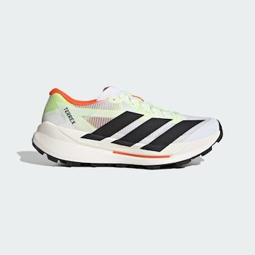 ADIDAS TERREX Running shoe 'Agravic TT' in White