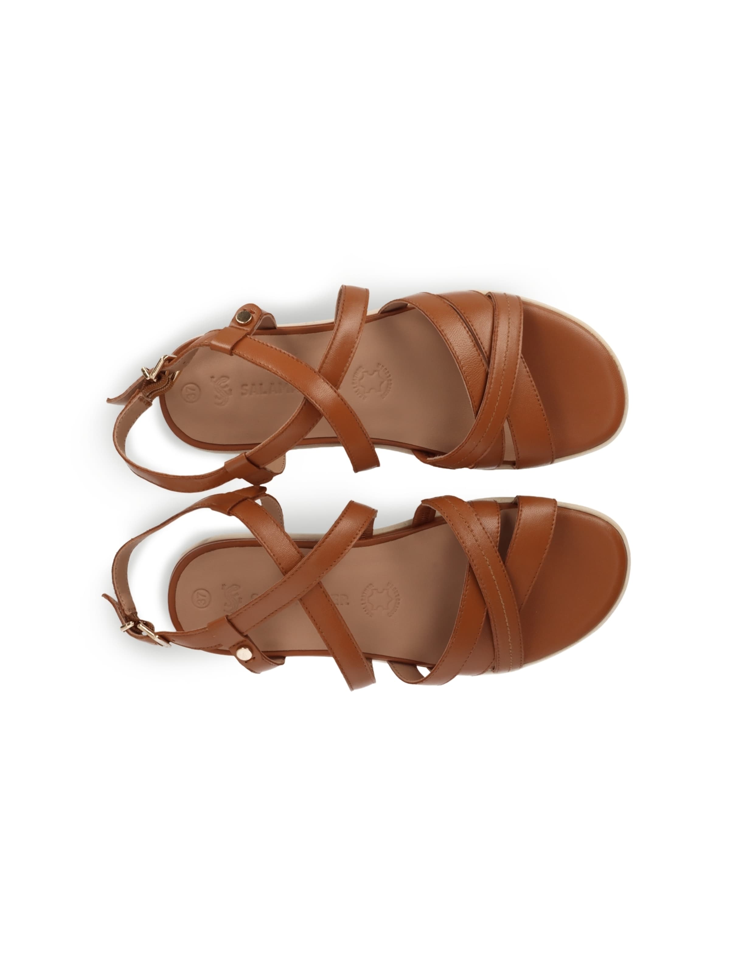 SALAMANDER - Sandálias com tiras em castanho