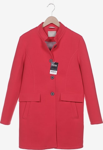 Amber & June Jacket & Coat in XL in Pink: front
