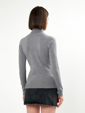 Influencer Pullover in Grau
