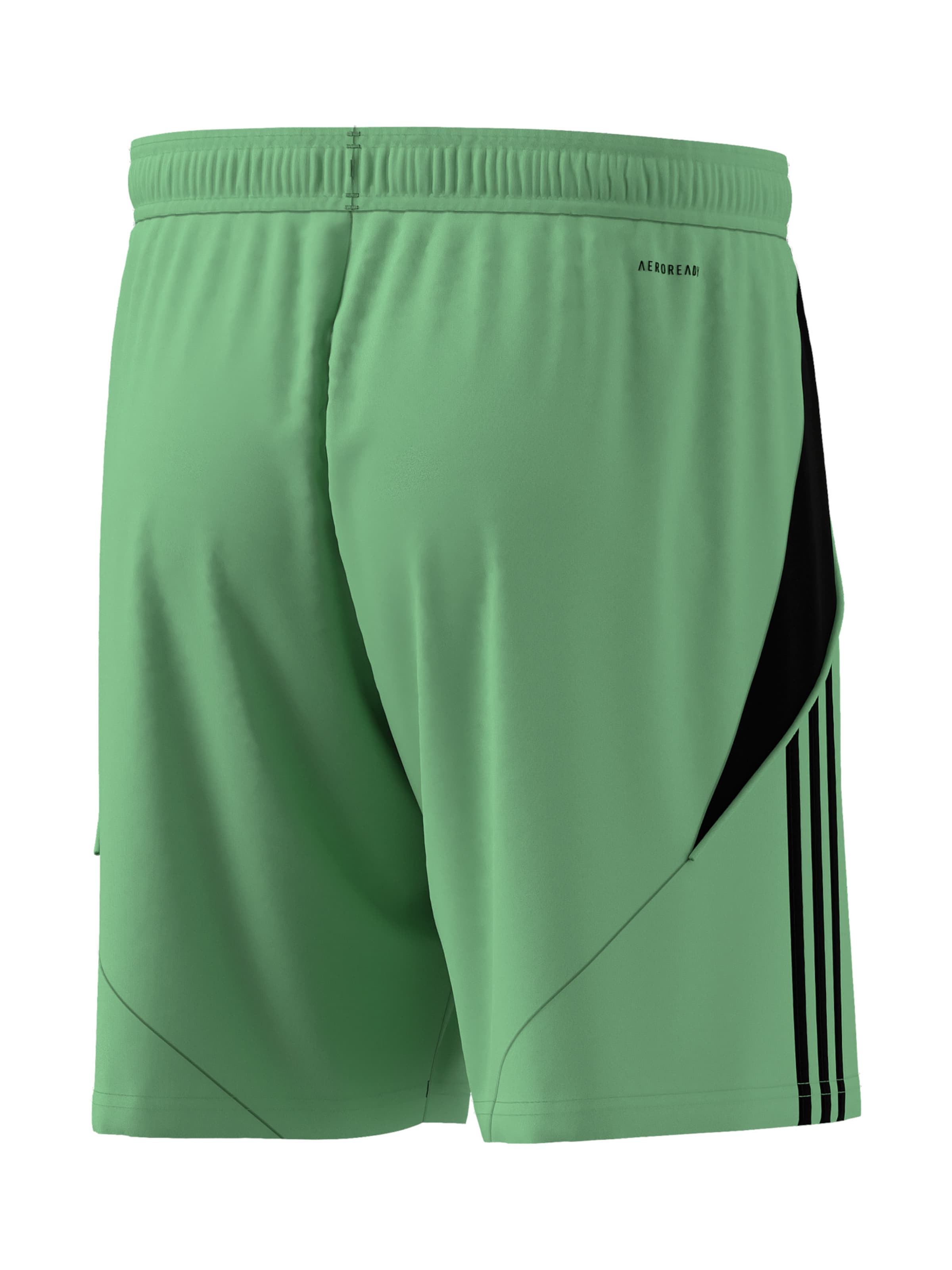 ADIDAS PERFORMANCE Обычный Спортивные штаны 'Tiro 24' в Зеленый