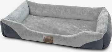 Accessoires pour animaux 'Hanko' Aspero en gris : devant